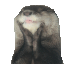 :feelsgood: