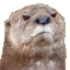 :cutemad: